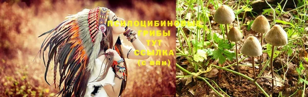 ALPHA-PVP Заволжск